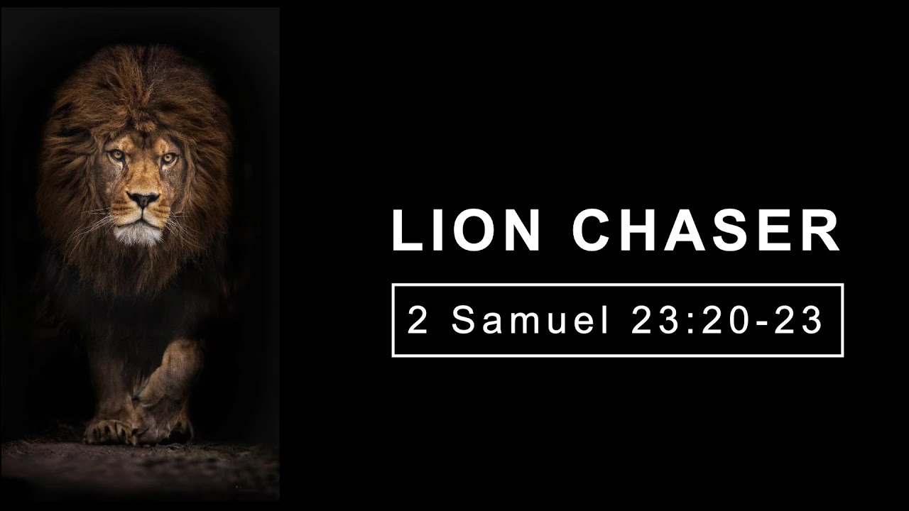 Lion Chaser